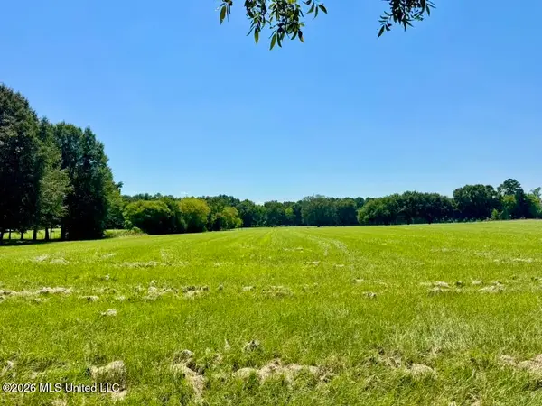 000001 Green Acres Drive, Canton, MS 39046