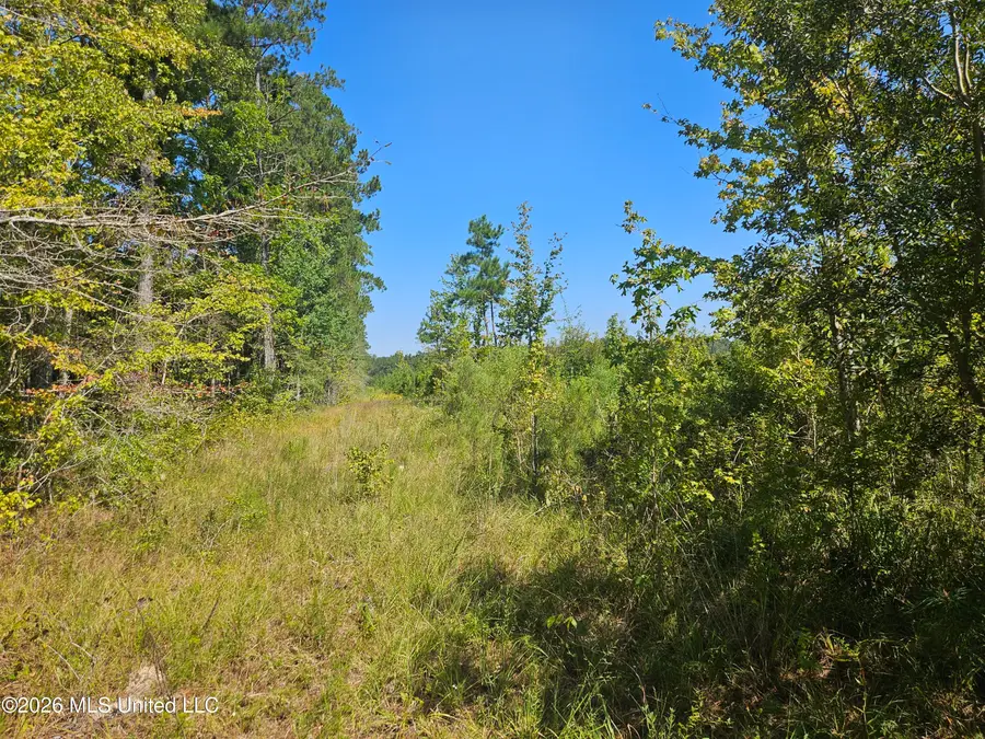 River Bend Road, Columbia, MS 39429 - #3