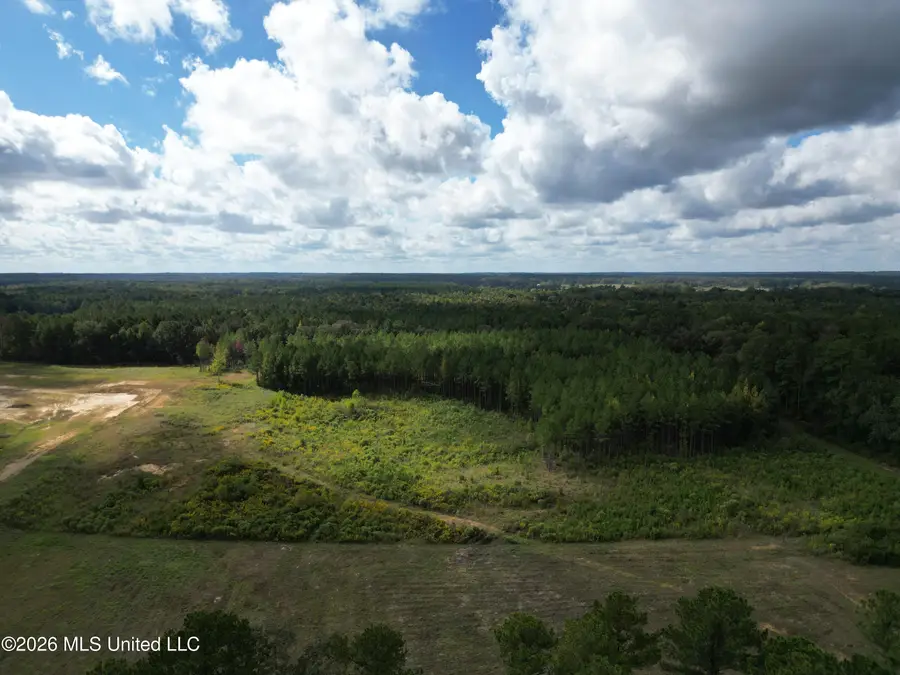 Lot 2 Sulphur Springs Road, Canton, MS 39046 - #2