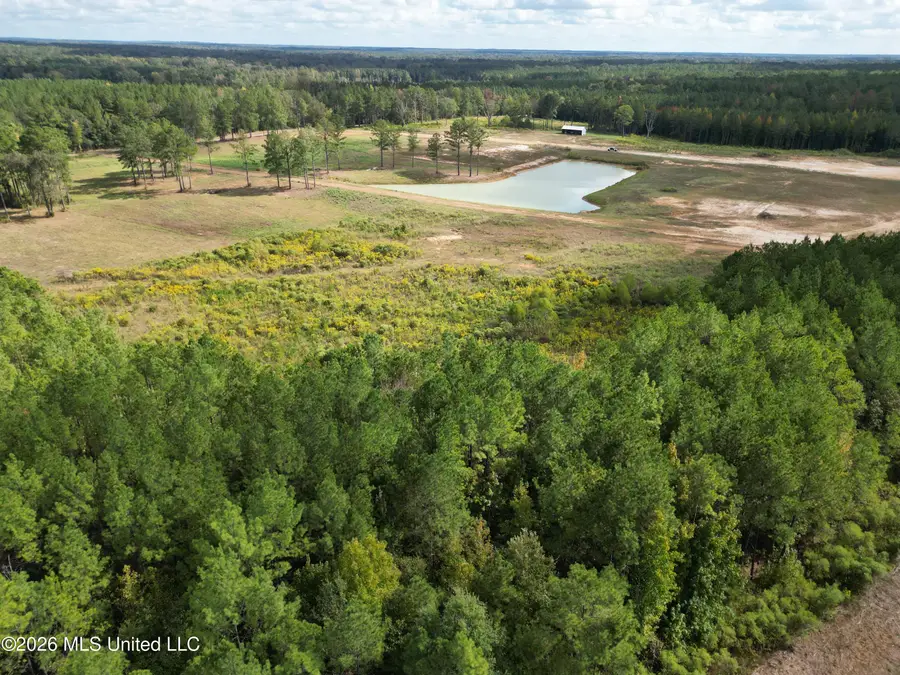 Lot 2 Sulphur Springs Road, Canton, MS 39046 - #3