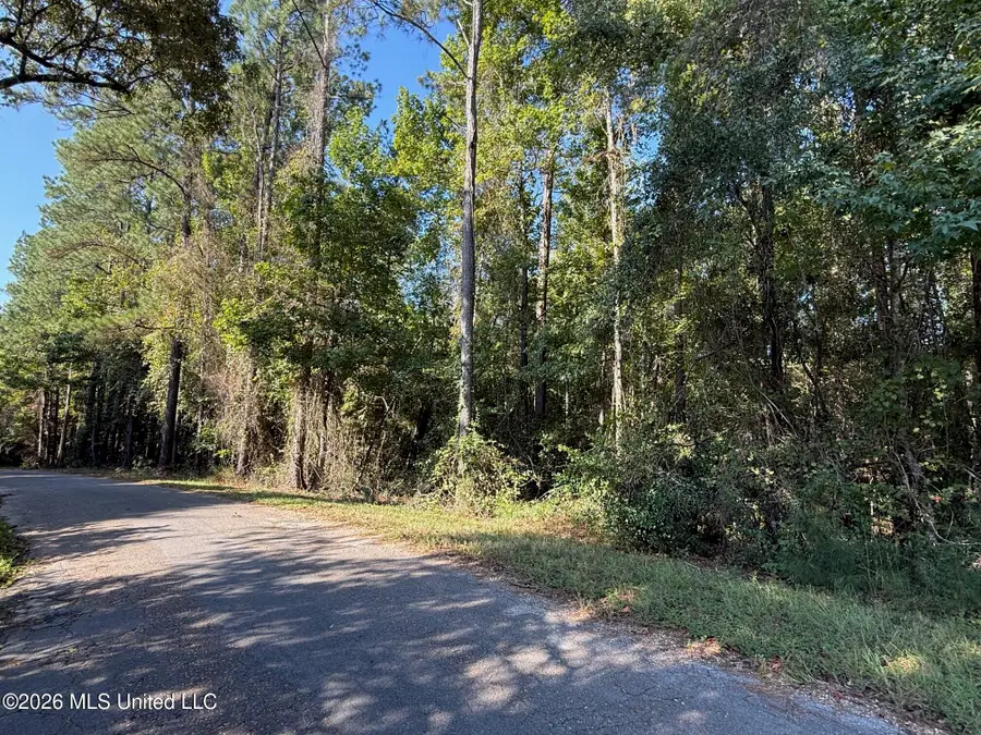 7 +/- Ac Fork Road, Lucedale, MS 39452 - #2