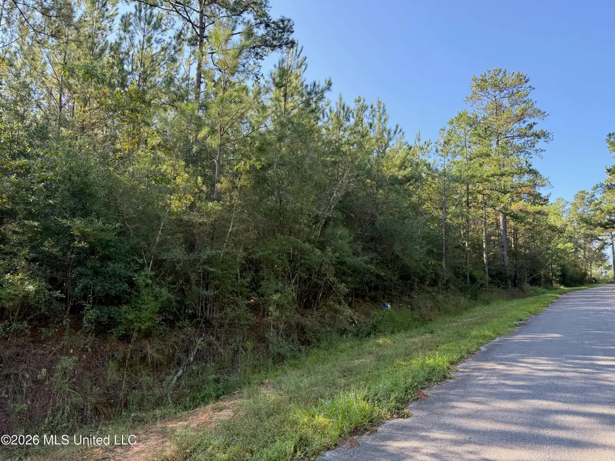 9 +/- Ac Fork Road, Lucedale, MS 39452 - #1