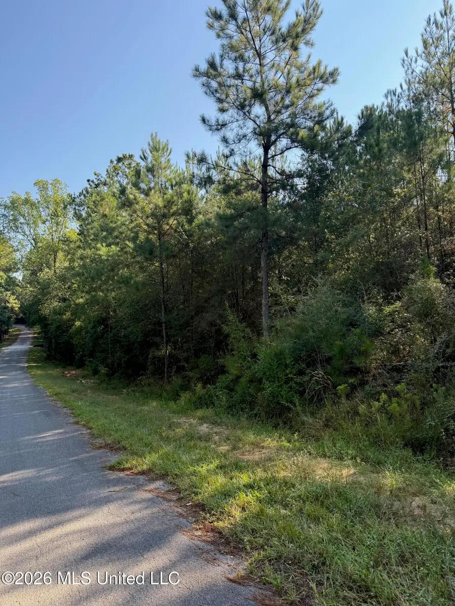 9 +/- Ac Fork Road, Lucedale, MS 39452 - #2