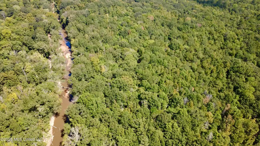 Highway 407, Kilmichael, MS 39747 - #3
