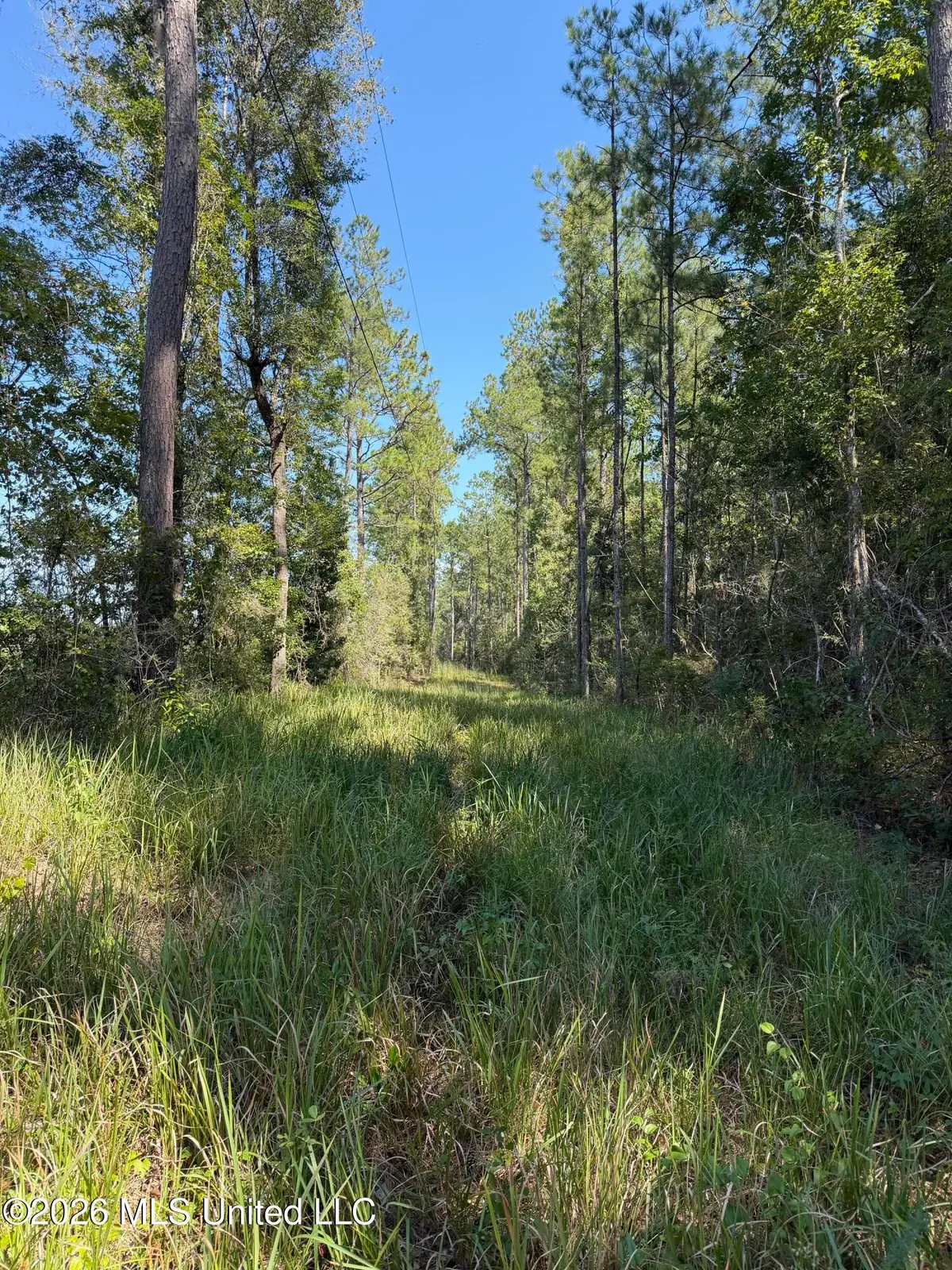 60 Acres Firth Littlefield Road, Lucedale, MS 39452 - #1