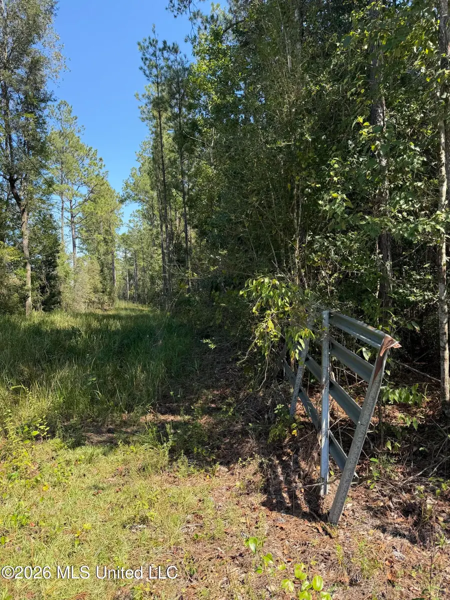 60 Acres Firth Littlefield Road, Lucedale, MS 39452 - #2