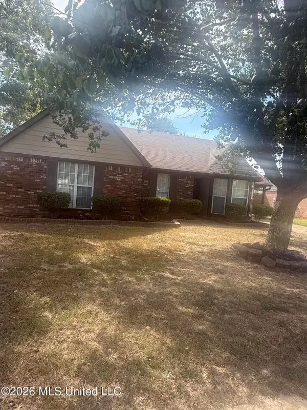 10113 S Oak Run Drive, Olive Branch, MS 38654