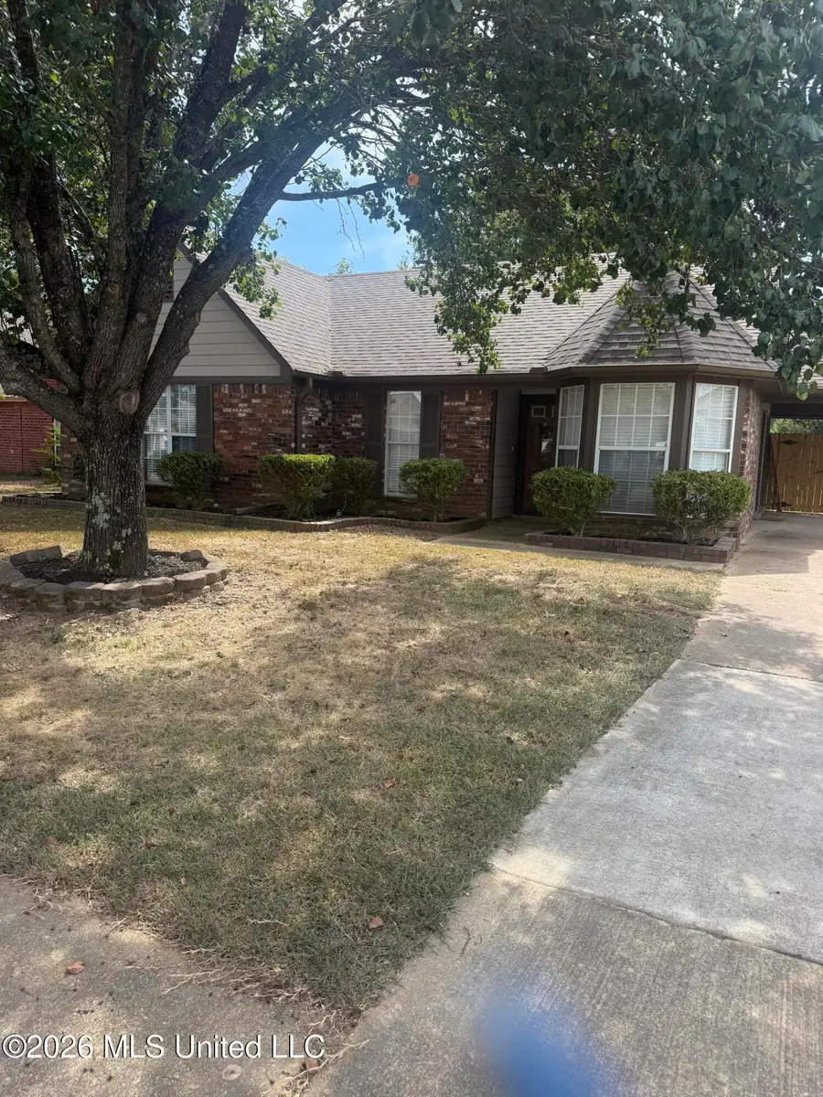 10113 S Oak Run Drive, Olive Branch, MS 38654 - #2