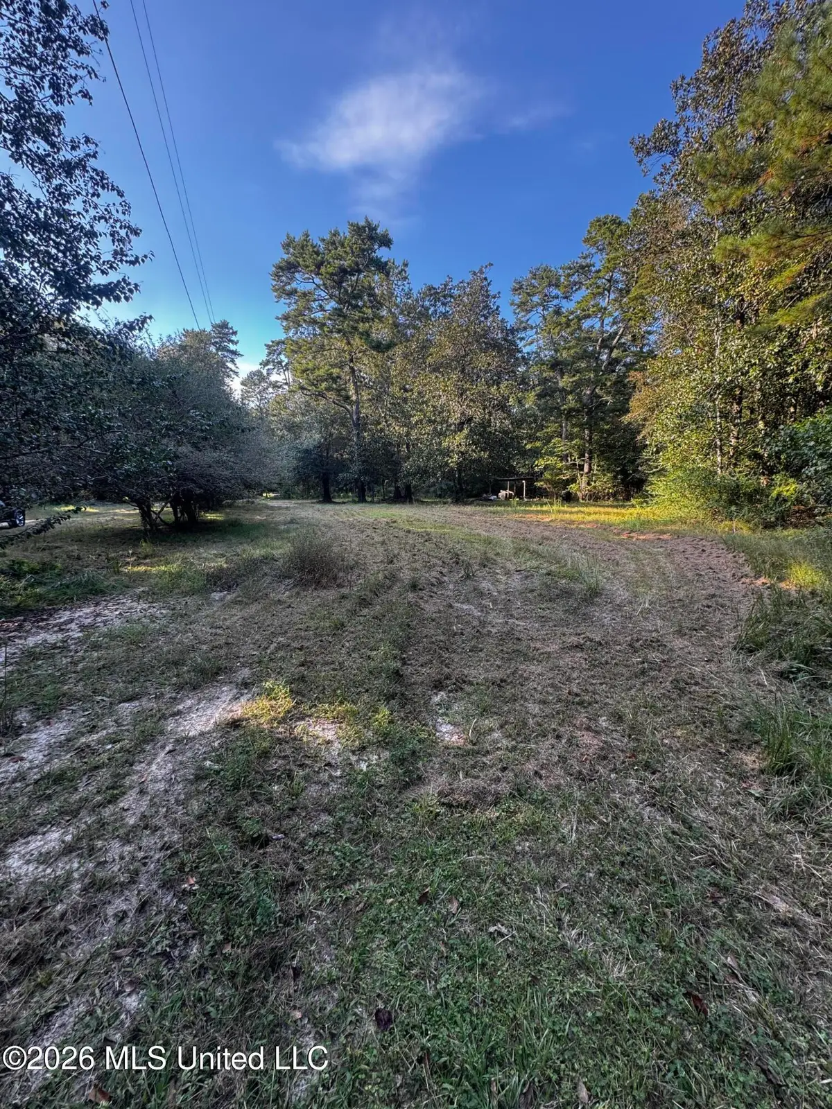 650 Liberty Road, Picayune, MS 39466 - #1