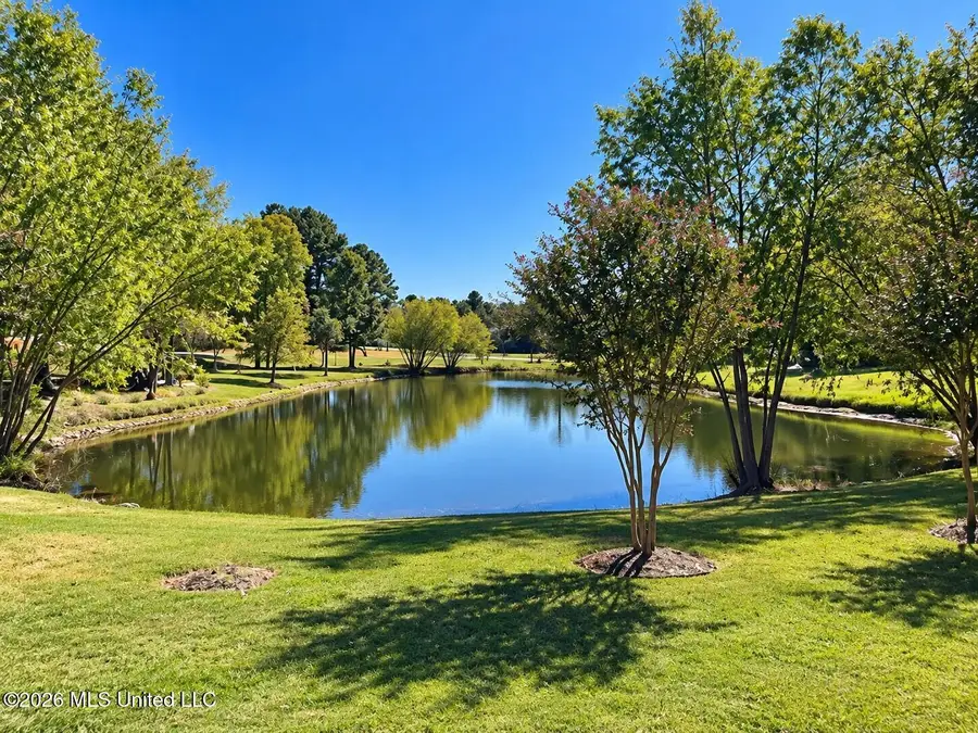12520 Whispering Pines Drive, Olive Branch, MS 38654 - #2