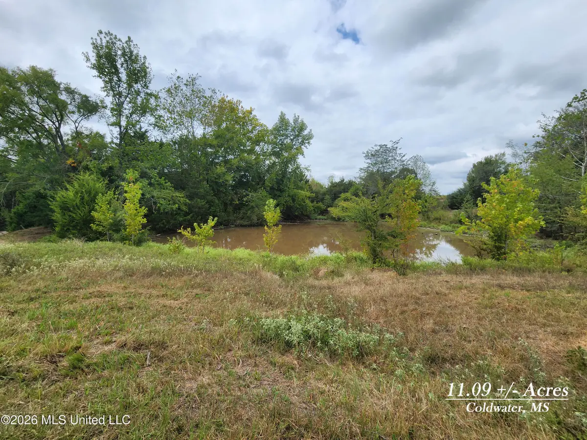 11.1 Bub Jamison Road, Coldwater, MS 38618 - #1