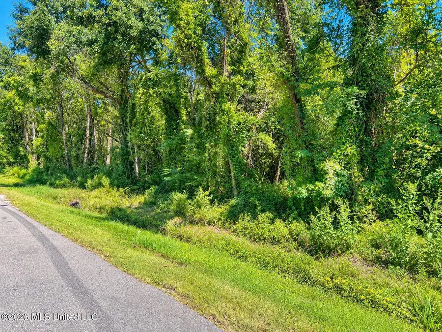 5236 Forrest Avenue, Bay Saint Louis, MS 39520 - #3