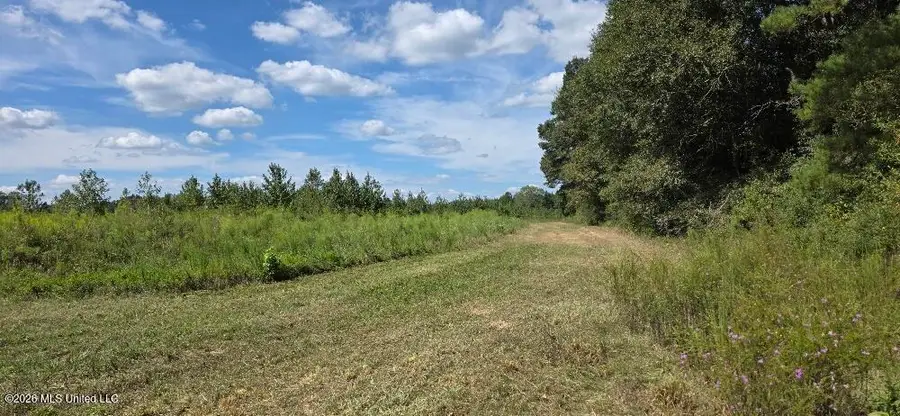 1107 Charlie Rhodus Road, Osyka, MS 39657 - #2