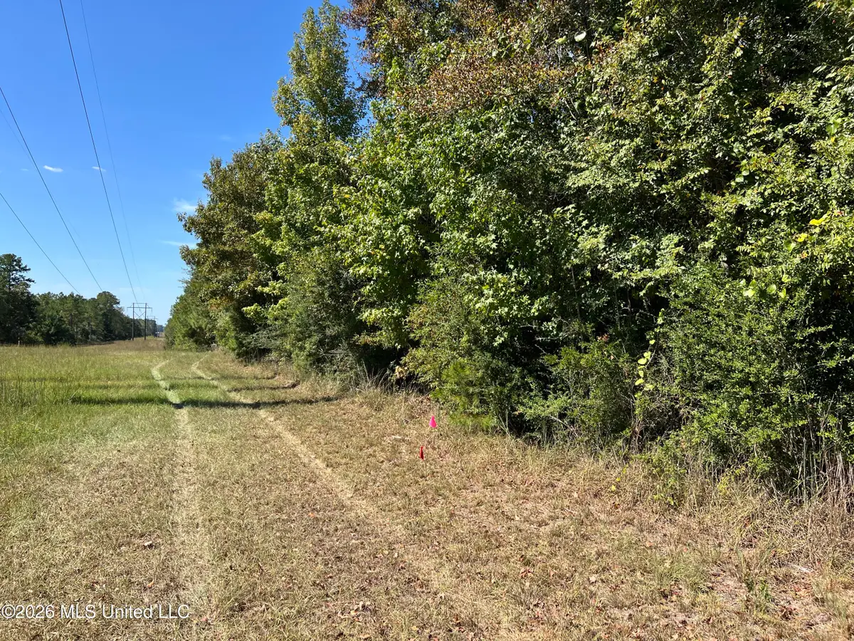 Matthews Road, Tylertown, MS 39667 - #1