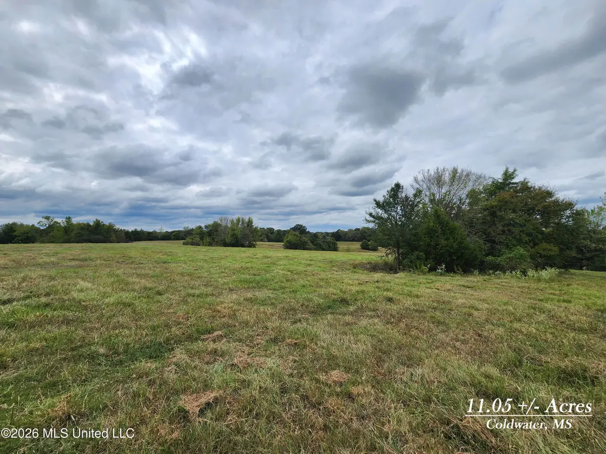 11.05 Bub Jamison Road, Coldwater, MS 38618 - #1