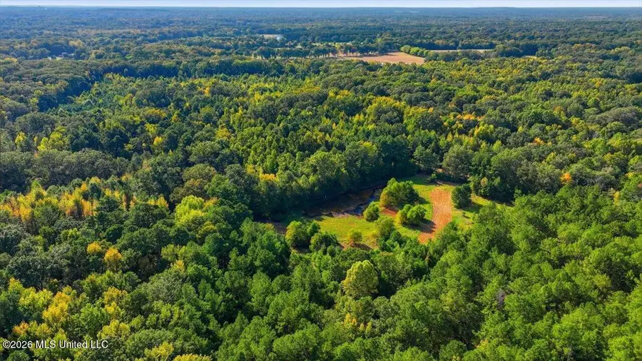 Springridge Rd, Raymond, MS 39154 - #2