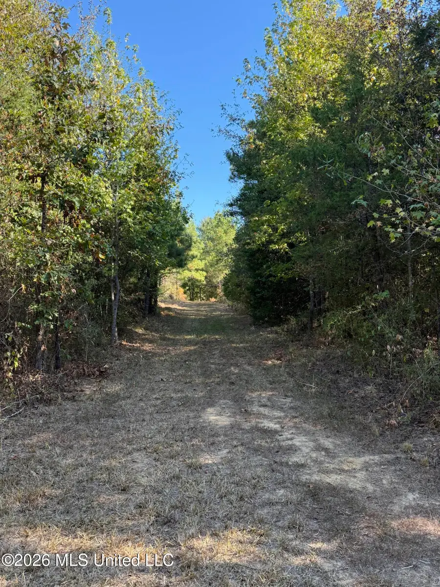 Old 51 Road, Pickens, MS 39146 - #3