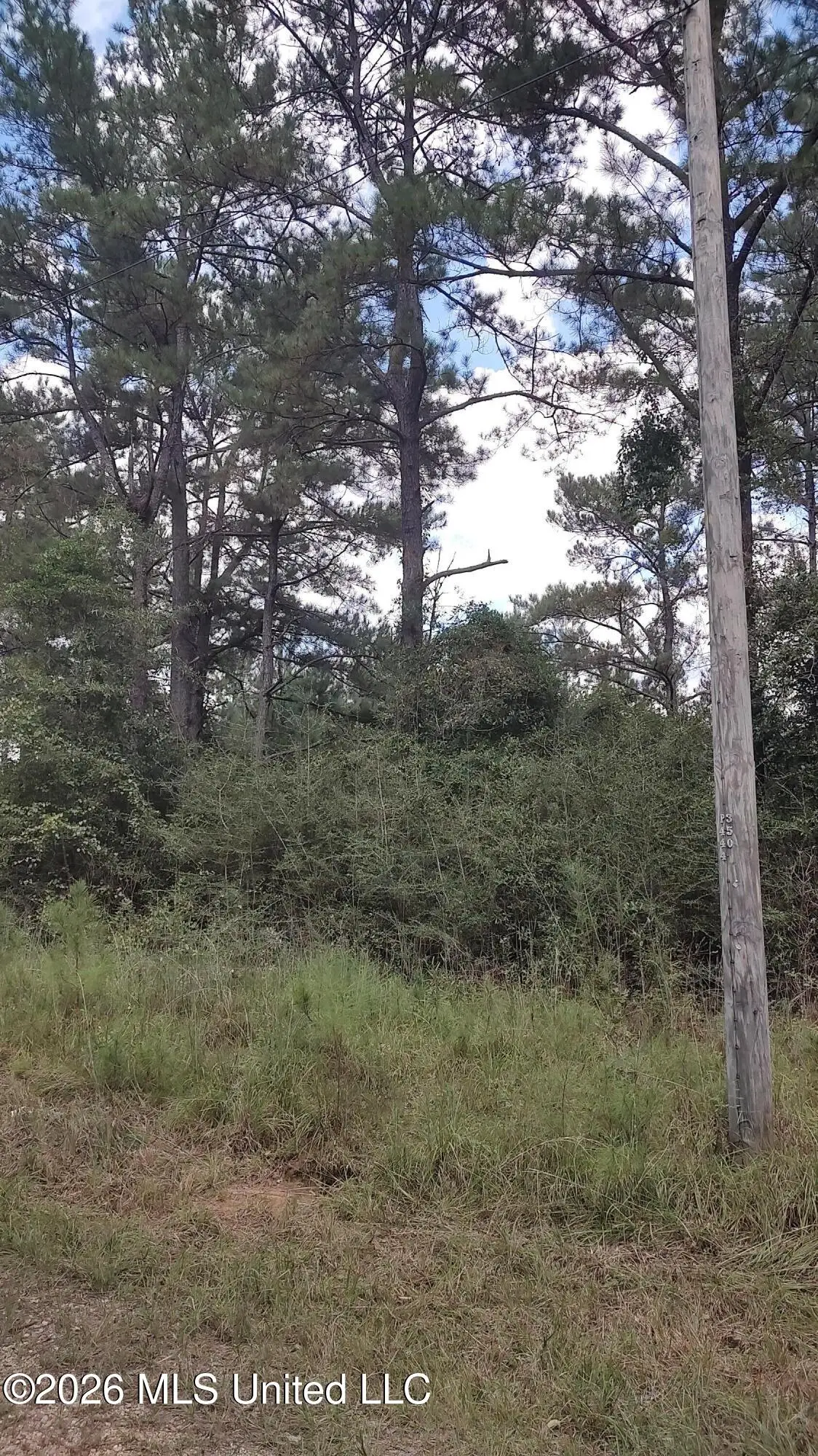 No Deer Creek Road, Lumberton, MS 39455 - #1