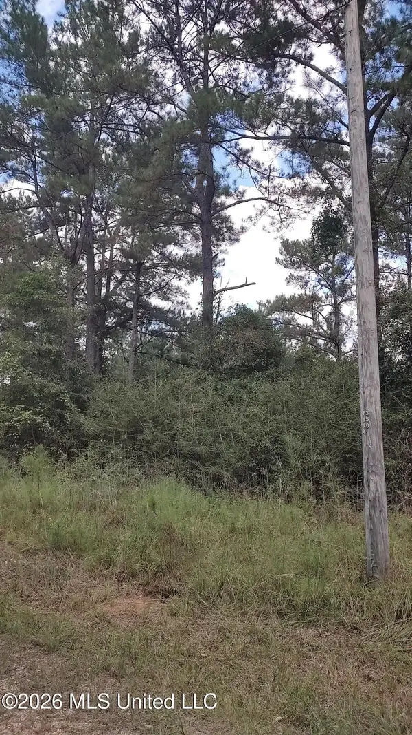No Deer Creek Road, Lumberton, MS 39455