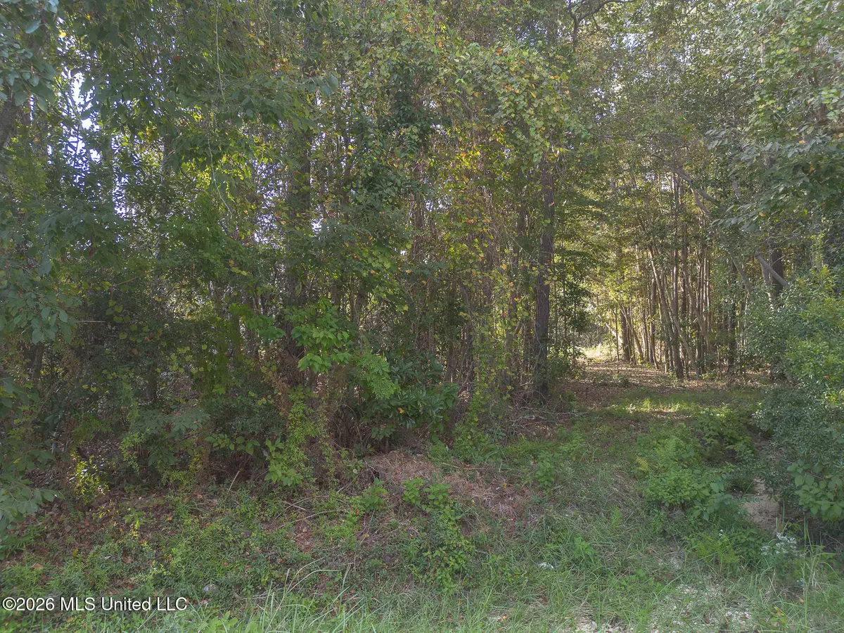 9524 Kale Place, Diamondhead, MS 39525 - #1