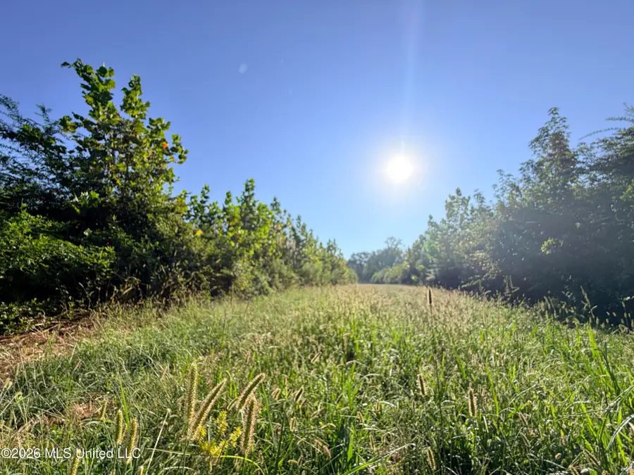 1 Butler Road, Vaughan, MS 39179 - #3