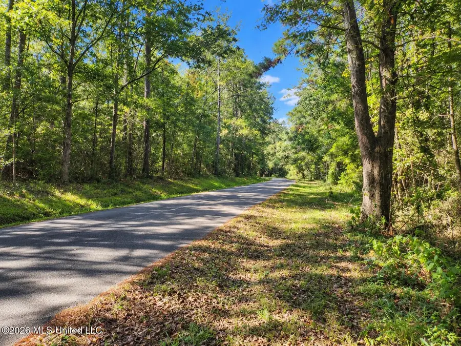 Lot 2 Nhn Will Thompson, Picayune, MS 39466 - #2