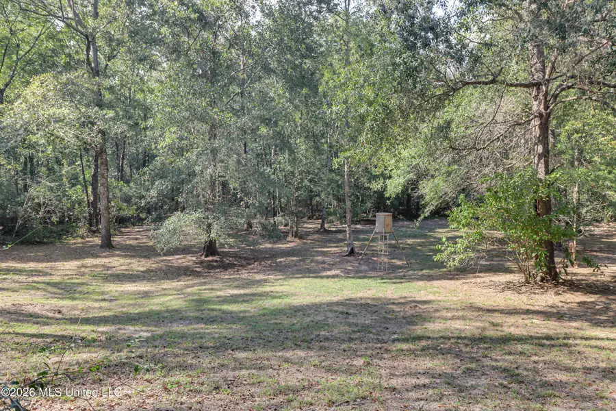 41 Ollie Reeves Road, Perkinston, MS 39573 - #3