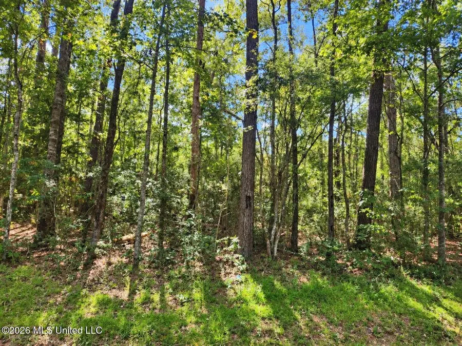 Lot 5 Nhn Will Thompson, Picayune, MS 39466 - #3