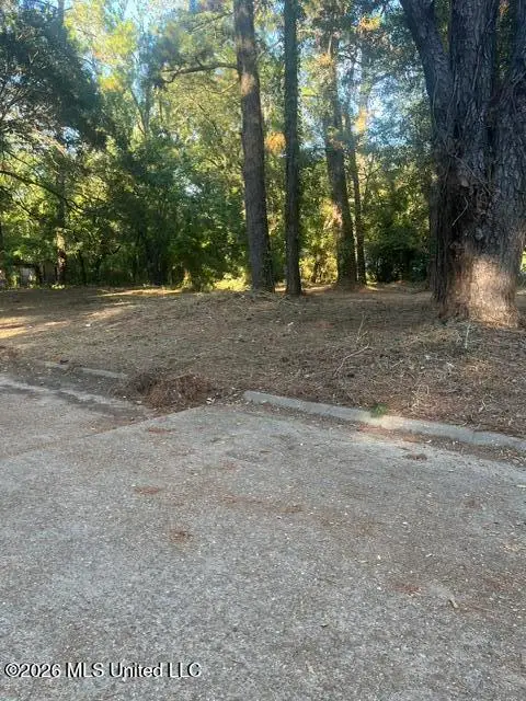 SW Willaman Street, Jackson, MS 39209 - #1