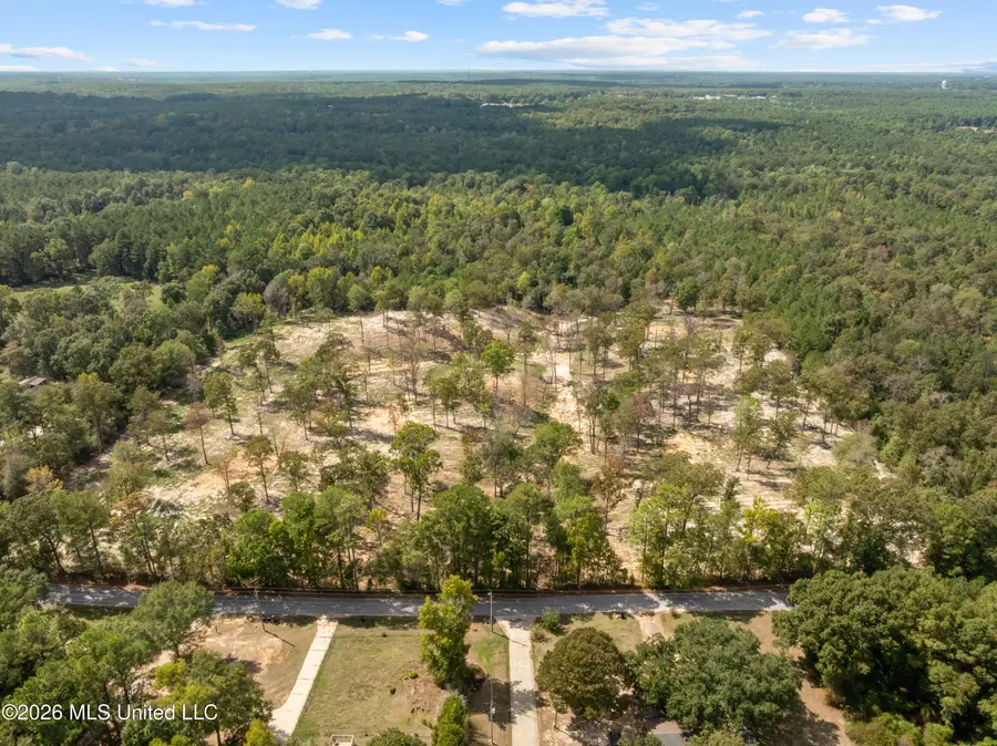 Bonhomie Road, Hattiesburg, MS 39401 - #2