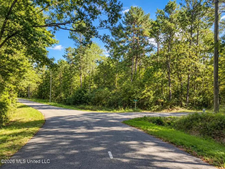 Lot 11 Nhn Will Thompson, Picayune, MS 39466 - #3