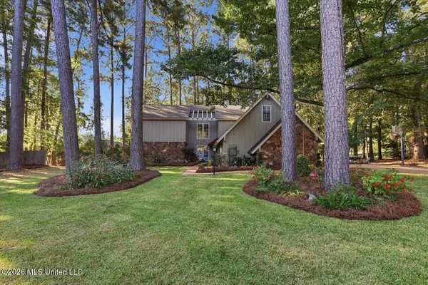 127 Newcastle Court, Brandon, MS 39047
