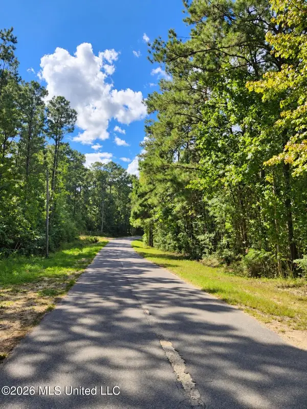 Lot 13 Nhn Will Thompson, Picayune, MS 39466