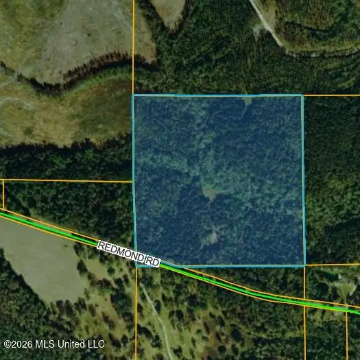 Redmond Rd, Lumberton, MS 39455