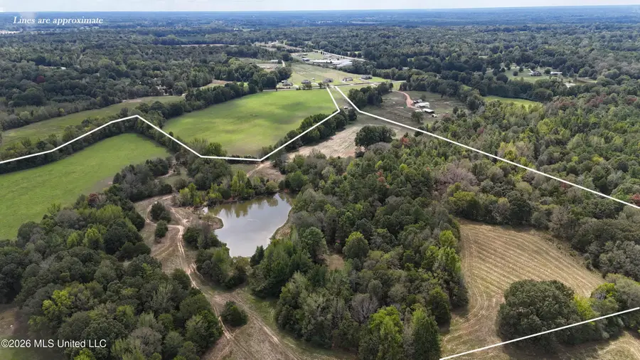 58 Rowell Road, Coldwater, MS 38618 - #2