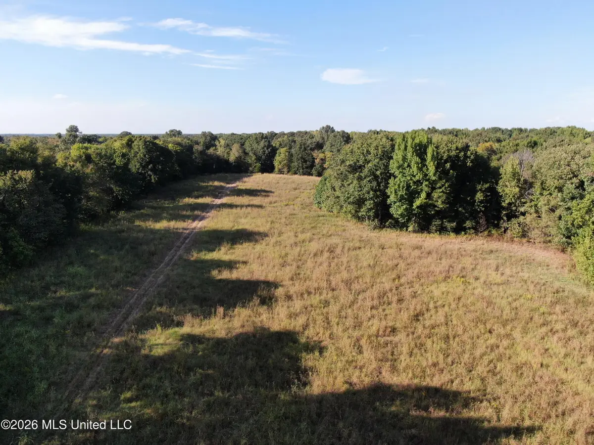 2 Horn Lake Road, Nesbit, MS 38651 - #1