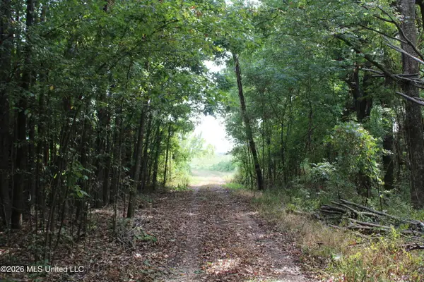 3 Horn Lake Road, Nesbit, MS 38651