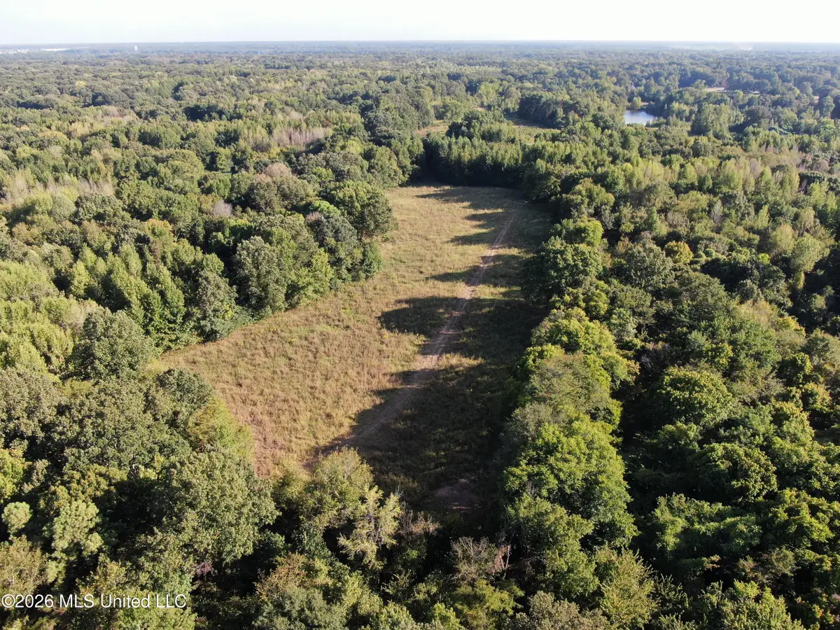 5 Star Landing Road, Nesbit, MS 38651 - #1