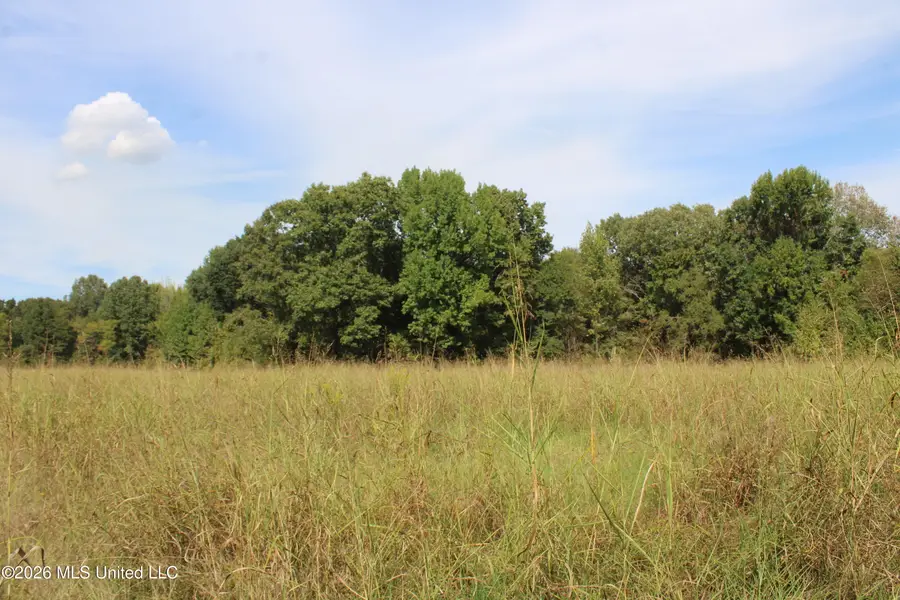 5 Star Landing Road, Nesbit, MS 38651 - #2