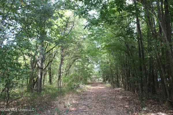 6 Star Landing Road, Nesbit, MS 38651