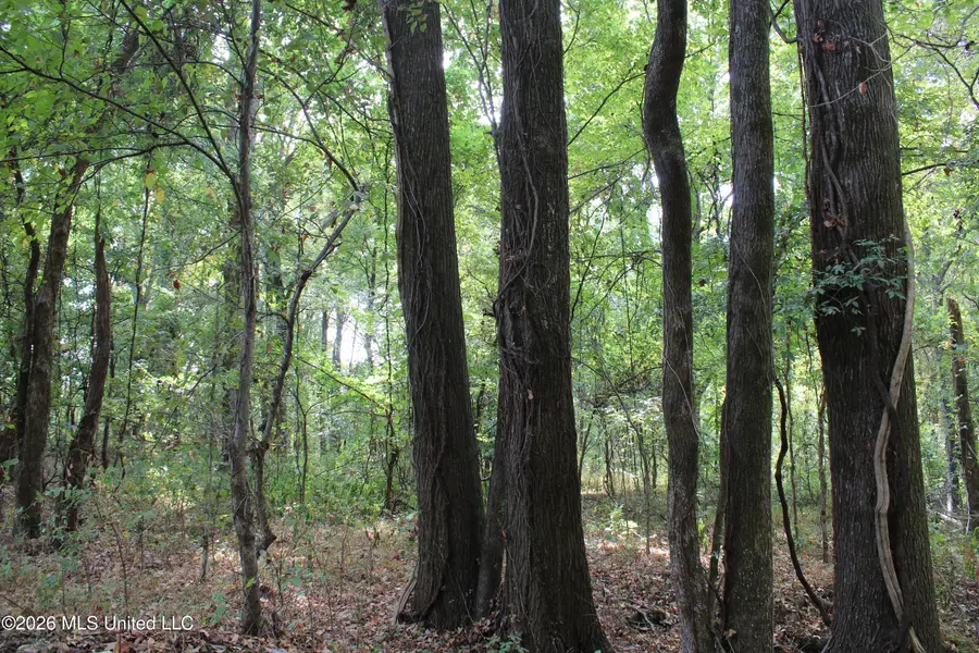 6 Star Landing Road, Nesbit, MS 38651 - #2