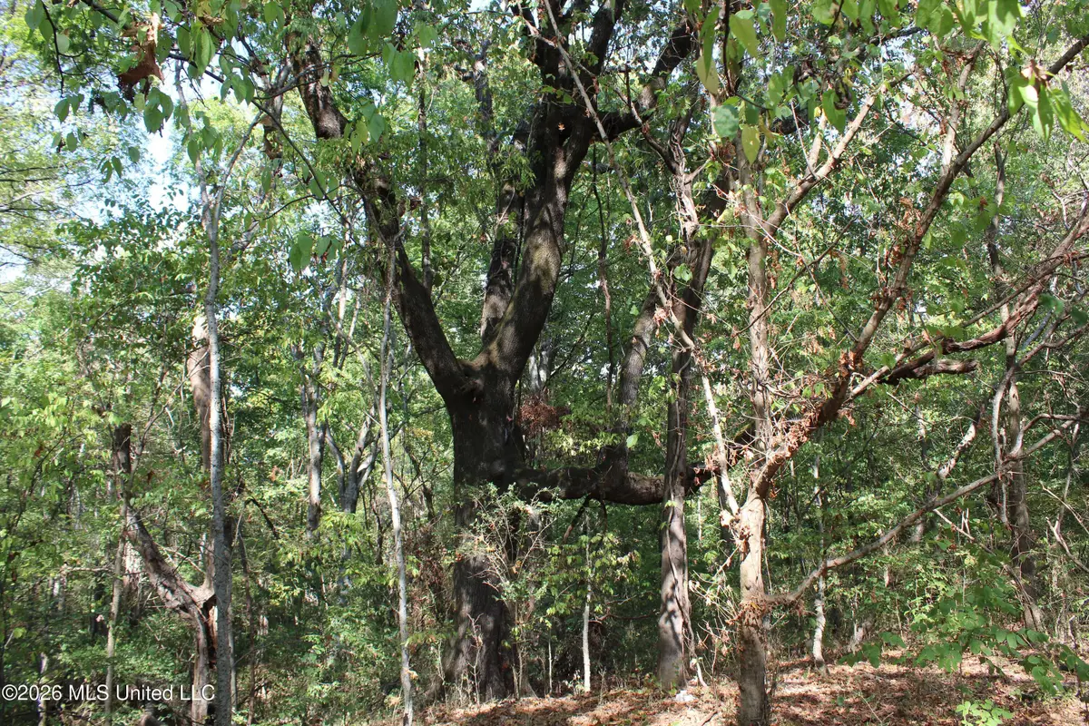 8 Star Landing Road, Nesbit, MS 38651 - #1