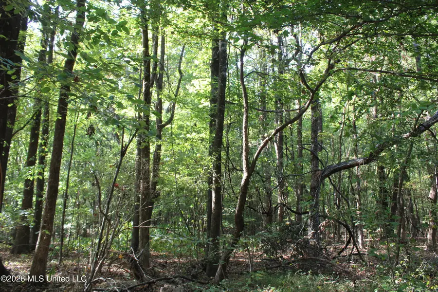 8 Star Landing Road, Nesbit, MS 38651 - #2