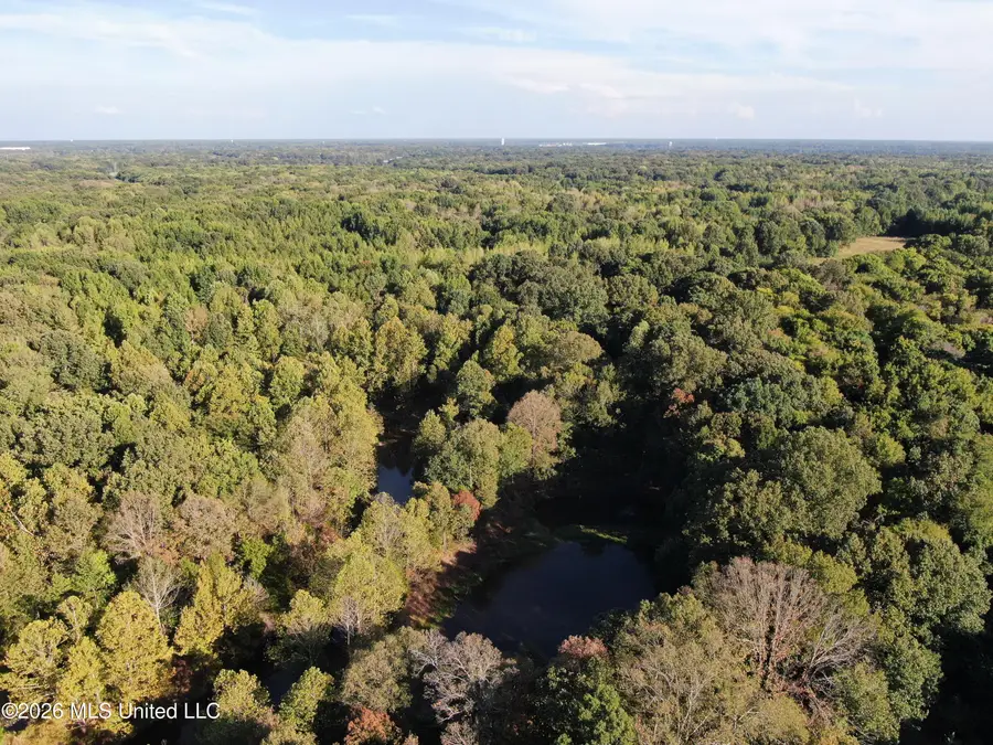 8 Star Landing Road, Nesbit, MS 38651 - #3