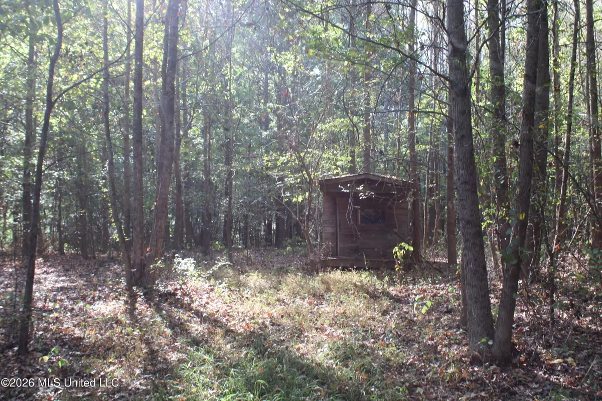 9 Star Landing Road, Nesbit, MS 38651 - #1