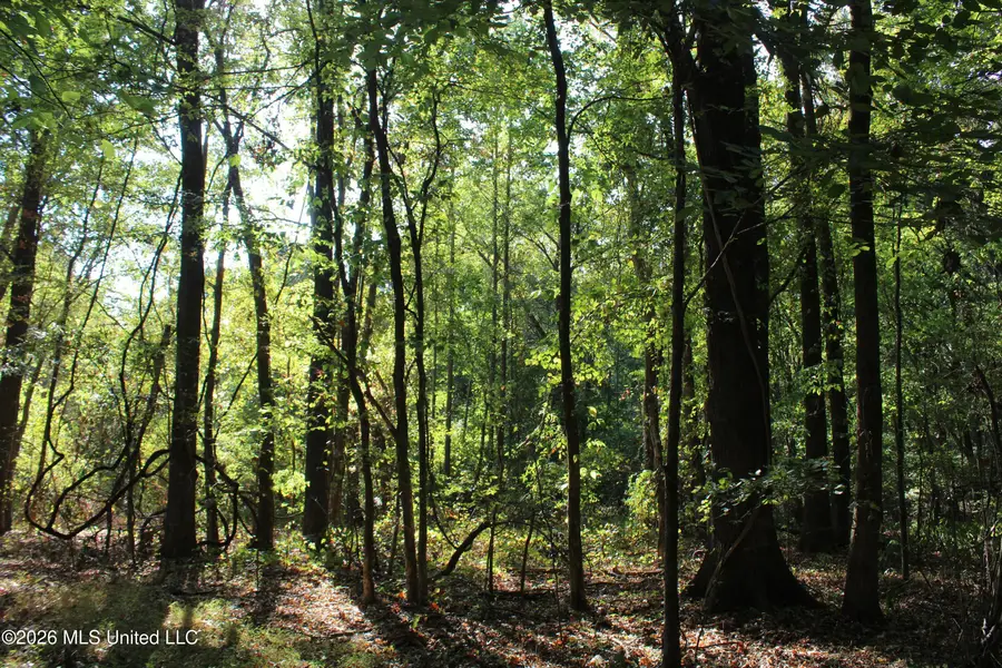 9 Star Landing Road, Nesbit, MS 38651 - #2