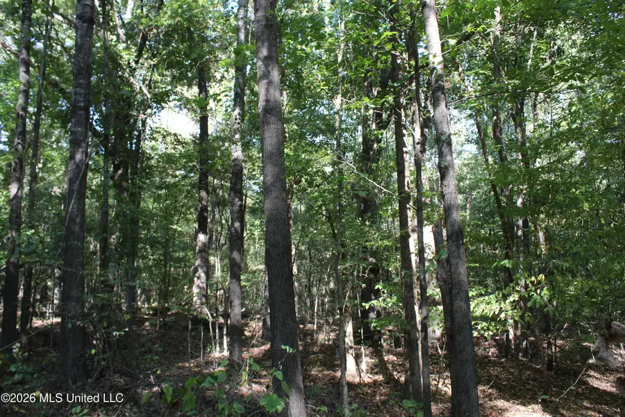 9 Star Landing Road, Nesbit, MS 38651 - #3