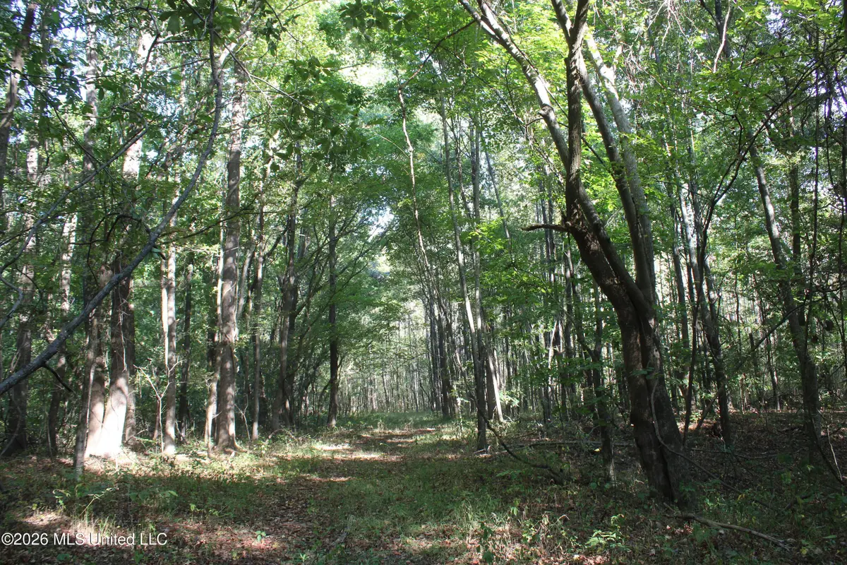 10 Star Landing Road, Nesbit, MS 38651 - #1