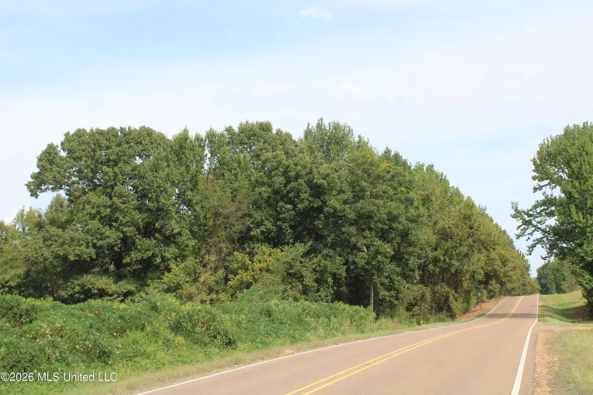 12 Star Landing Road, Nesbit, MS 38651 - #1