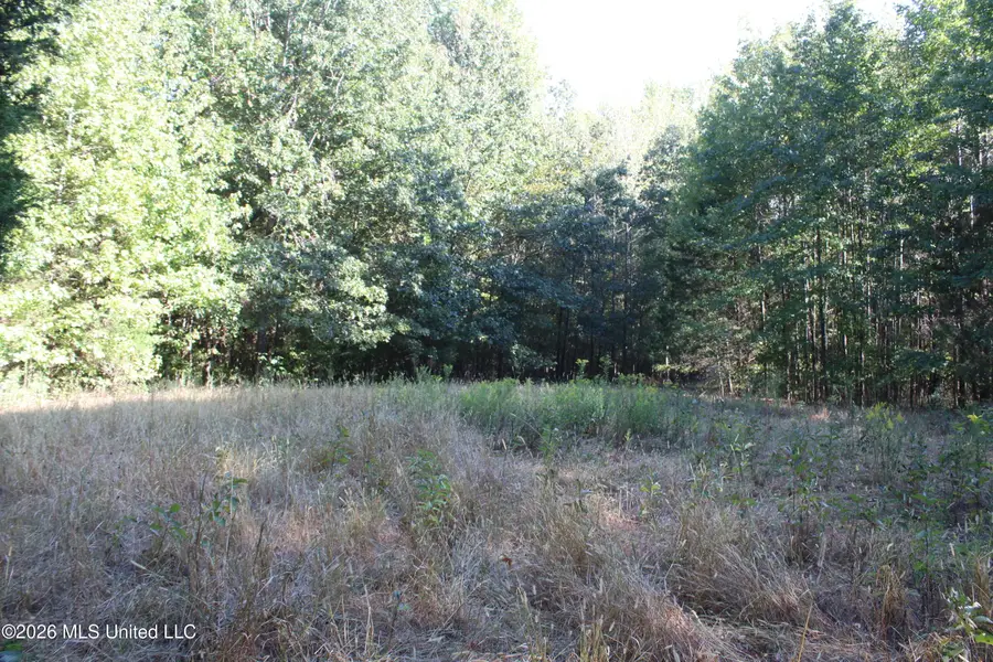 13 Star Landing Road, Nesbit, MS 38651 - #2